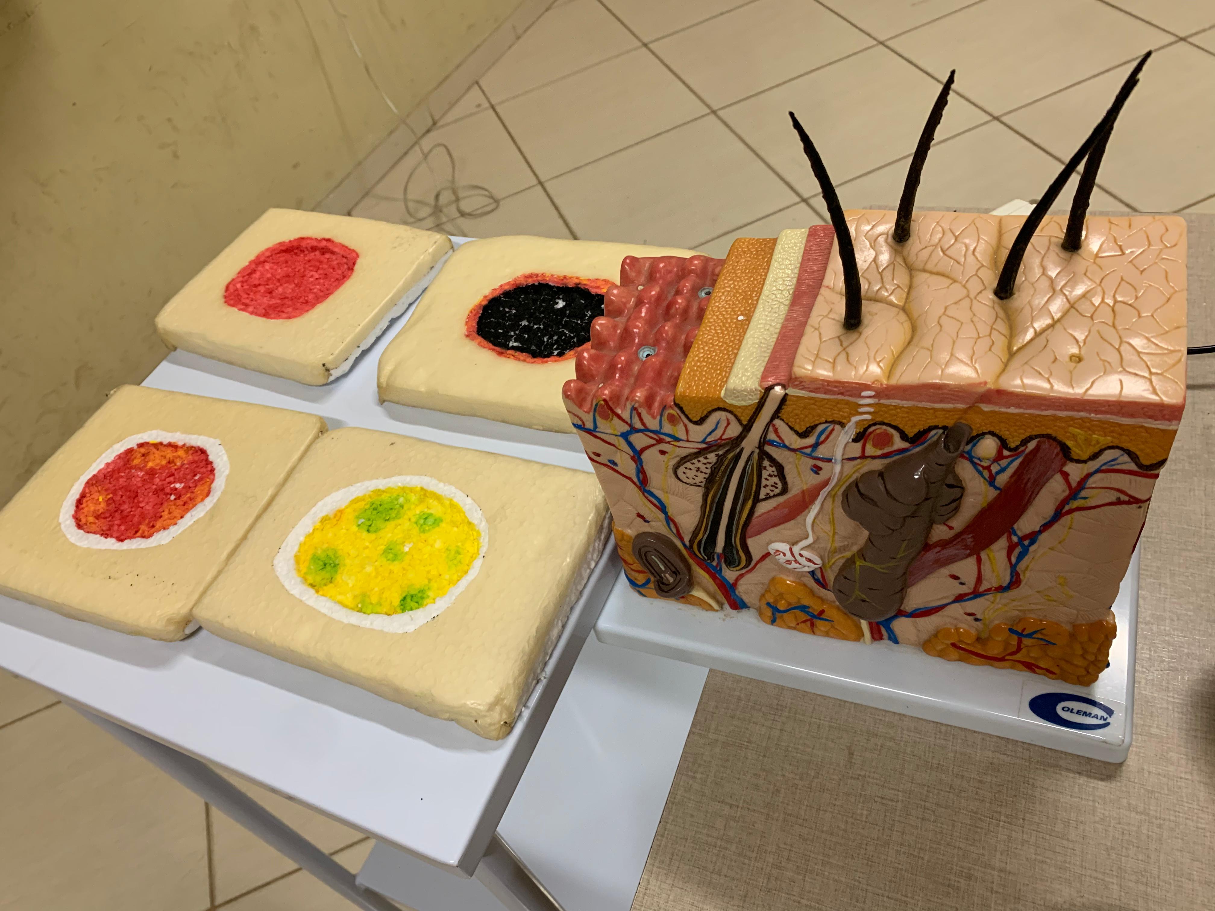 Aula Prática Realizada: Feridas e Curativos